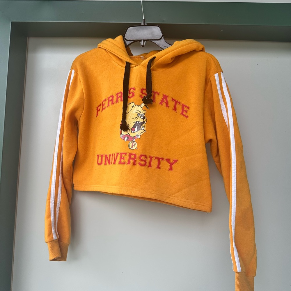 Ferris State University Crop top hoodie